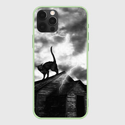 Чехол для iPhone 12 Pro Max Halloween - чёрный кот на ведьмином доме, цвет: 3D-салатовый