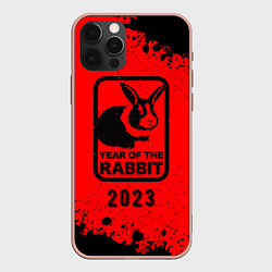Чехол для iPhone 12 Pro Max 2023 Кролик в рамочке, цвет: 3D-светло-розовый