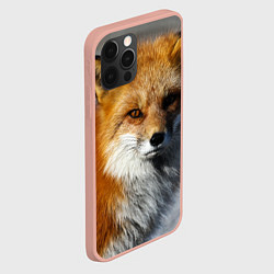 Чехол для iPhone 12 Pro Max Лиc, цвет: 3D-светло-розовый — фото 2