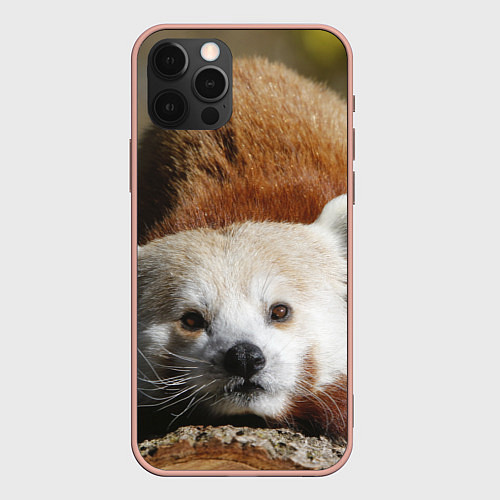 Чехол iPhone 12 Pro Max Красная панда ждёт / 3D-Светло-розовый – фото 1