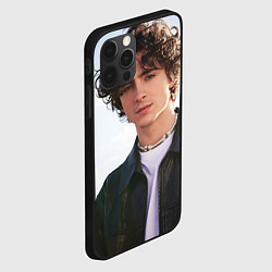 Чехол для iPhone 12 Pro Max Timothe for Variety, цвет: 3D-черный — фото 2