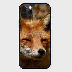 Чехол для iPhone 12 Pro Max Лис дремлет, цвет: 3D-черный
