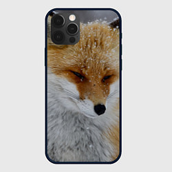 Чехол для iPhone 12 Pro Max Лис в снегу, цвет: 3D-черный