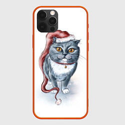 Чехол для iPhone 12 Pro Max Кот гномыч, цвет: 3D-красный