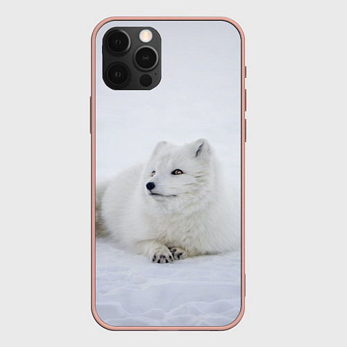 Чехол iPhone 12 Pro Max Полярная лисичка / 3D-Светло-розовый – фото 1