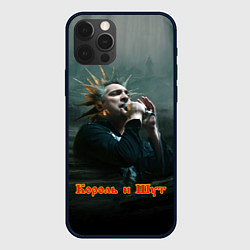 Чехол для iPhone 12 Pro Max Горшок с микрофоном КиШ, цвет: 3D-черный
