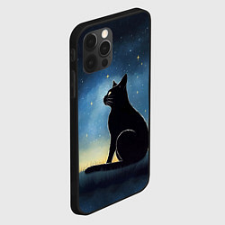 Чехол для iPhone 12 Pro Max Черный кот и звезды - акварель, цвет: 3D-черный — фото 2
