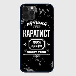 Чехол для iPhone 12 Pro Max Лучший каратист: 100% профи, цвет: 3D-черный