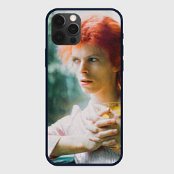 Чехол для iPhone 12 Pro Max David Bowie in Haddon Hall, цвет: 3D-черный