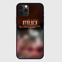 Чехол для iPhone 12 Pro Max Stalker припять зона, цвет: 3D-черный