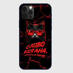 Чехол для iPhone 12 Pro Max Слово котана - шерсть на одежде, цвет: 3D-черный