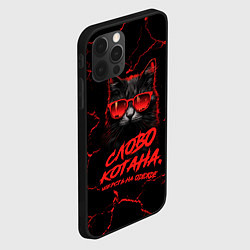 Чехол для iPhone 12 Pro Max Слово котана - шерсть на одежде, цвет: 3D-черный — фото 2