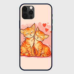 Чехол для iPhone 12 Pro Max Влюбленные рыжики котики 14 февраля, цвет: 3D-черный