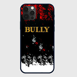 Чехол для iPhone 12 Pro Max Bully краски, цвет: 3D-черный