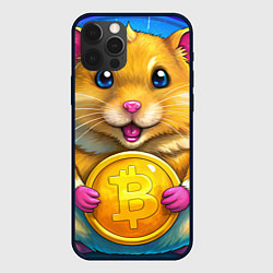 Чехол для iPhone 12 Pro Max Хомячок и коины, цвет: 3D-черный