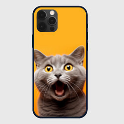 Чехол для iPhone 12 Pro Max Удивленный кот, цвет: 3D-черный
