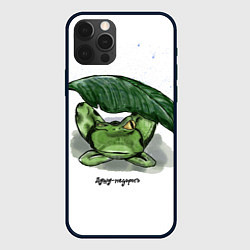 Чехол для iPhone 12 Pro Max Душу не дорого, цвет: 3D-черный