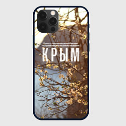 Чехол для iPhone 12 Pro Max Курорт Крым, цвет: 3D-черный