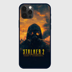 Чехол для iPhone 12 Pro Max Stalker загрязненный завод, цвет: 3D-черный