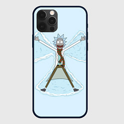Чехол для iPhone 12 Pro Max Рик и Морти снег - бабочка, цвет: 3D-черный