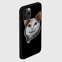 Чехол для iPhone 12 Pro Max Кот - Бу испугался мем, цвет: 3D-черный — фото 2
