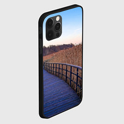 Чехол для iPhone 12 Pro Max Камышовые плавни на Финском заливе, цвет: 3D-черный — фото 2