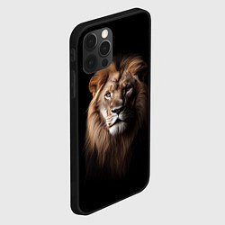 Чехол для iPhone 12 Pro Max Mufasa, цвет: 3D-черный — фото 2