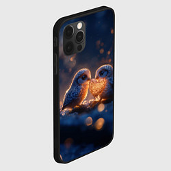 Чехол для iPhone 12 Pro Max Милые влюбленные совушки, цвет: 3D-черный — фото 2
