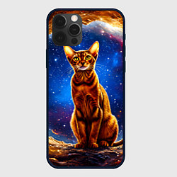Чехол для iPhone 12 Pro Max Абиссинская кошка в космосе, цвет: 3D-черный