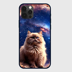 Чехол для iPhone 12 Pro Max Гималайская кошка в космосе, цвет: 3D-черный