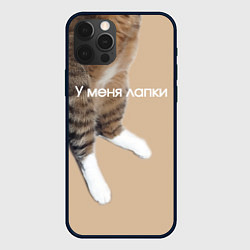 Чехол iPhone 12 Pro Max У меня лапки кот Марс