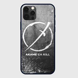 Чехол для iPhone 12 Pro Max Akame ga Kill - grey gradient, цвет: 3D-черный