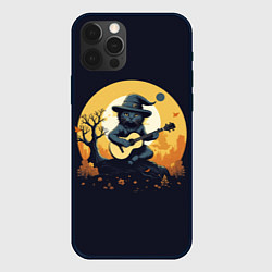 Чехол iPhone 12 Pro Max Кот играет на гитаре под луной