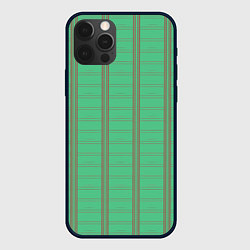 Чехол для iPhone 12 Pro Max Color green cage brown stripes, цвет: 3D-черный