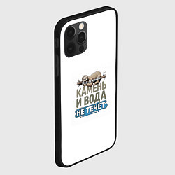 Чехол для iPhone 12 Pro Max Под лежачий камень бежевый арт, цвет: 3D-черный — фото 2