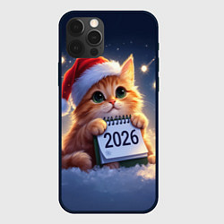 Чехол для iPhone 12 Pro Max Кот который ждет новый год, цвет: 3D-черный