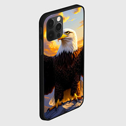 Чехол для iPhone 12 Pro Max Белоголовый орлан владыка небес, цвет: 3D-черный — фото 2