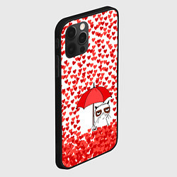 Чехол для iPhone 12 Pro Max Сердцепад и сердитый кот, цвет: 3D-черный — фото 2