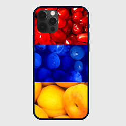 Чехол для iPhone 12 Pro Max Флаг Армении, цвет: 3D-черный