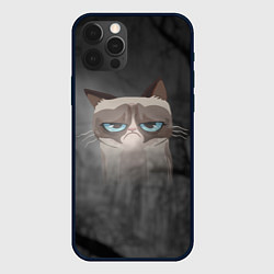 Чехол для iPhone 12 Pro Grumpy Cat, цвет: 3D-черный