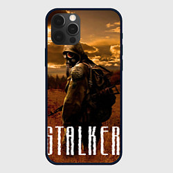 Чехол для iPhone 12 Pro STALKER: Radiation, цвет: 3D-черный