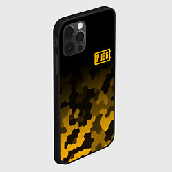 Чехол для iPhone 12 Pro PUBG: Military Honeycomb, цвет: 3D-черный — фото 2