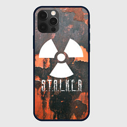 Чехол для iPhone 12 Pro S.T.A.L.K.E.R: Orange Toxic, цвет: 3D-черный