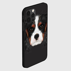 Чехол для iPhone 12 Pro Cavalier King Charles, цвет: 3D-черный — фото 2