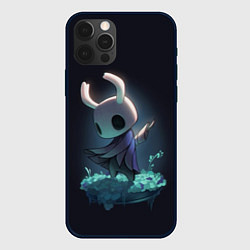 Чехол для iPhone 12 Pro Hollow Knight, цвет: 3D-черный