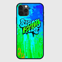 Чехол для iPhone 12 Pro Stray Kids, цвет: 3D-черный