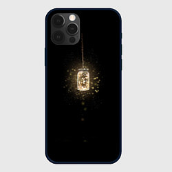 Чехол для iPhone 12 Pro Банка со светлячками, цвет: 3D-черный