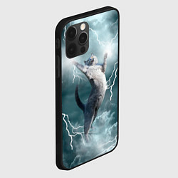 Чехол для iPhone 12 Pro Грозовой кошак, цвет: 3D-черный — фото 2