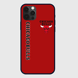 Чехол для iPhone 12 Pro CHICAGO BULLS, цвет: 3D-черный