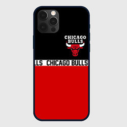 Чехол для iPhone 12 Pro CHICAGO BULLS, цвет: 3D-черный